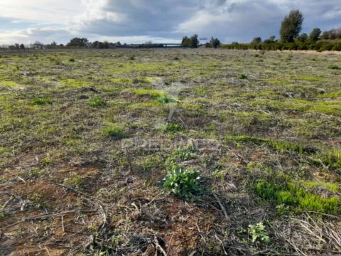 Dois terrenos rusticos com área 11400m2  na saida de faro