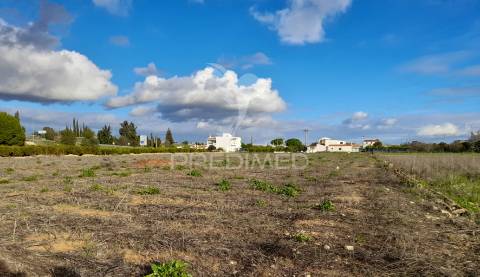 Dois terrenos rusticos com área 11400m2  na saida de faro