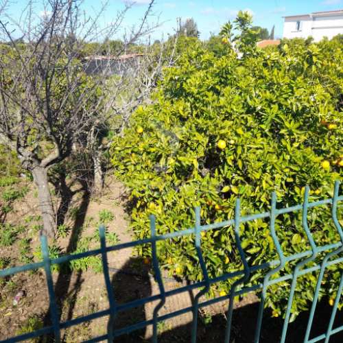 Dois terrenos rusticos com área 11400m2  na saida de faro