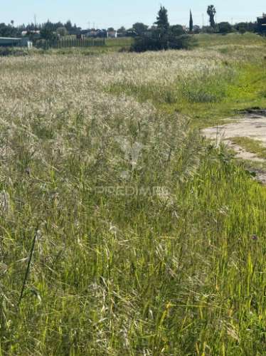 Terreno misto a venda