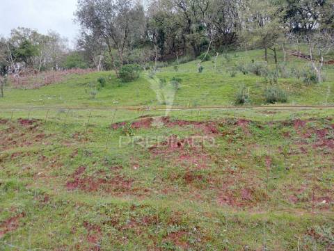 Lote urbano para construção - porto de mós