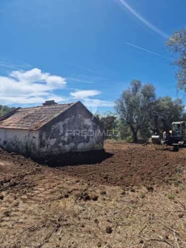 Monte alentejano em montargil