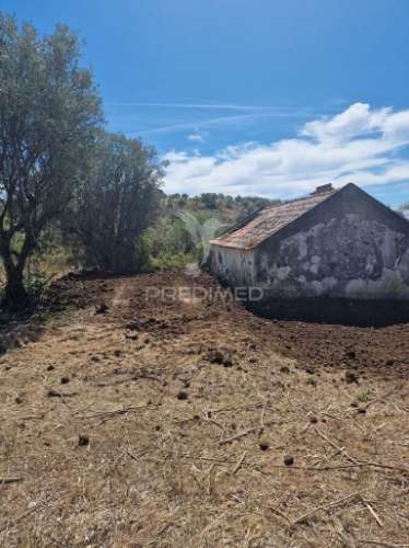 Monte alentejano em montargil