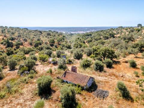 Monte alentejano em montargil