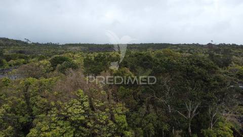 Terreno para construção candelária