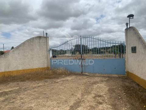 Herdade alentejana 53 hect (vedada)