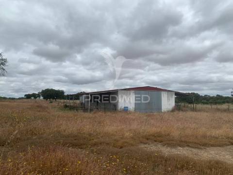 Herdade alentejana 53 hect (vedada)