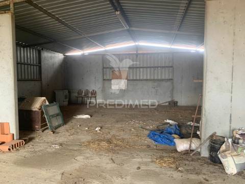 Herdade alentejana 53 hect (vedada)