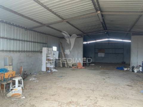 Herdade alentejana 53 hect (vedada)