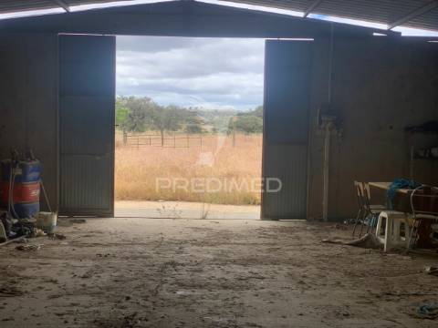 Herdade alentejana 53 hect (vedada)