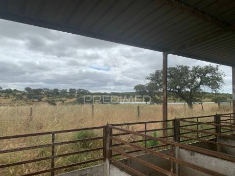 Herdade alentejana 53 hect (vedada)