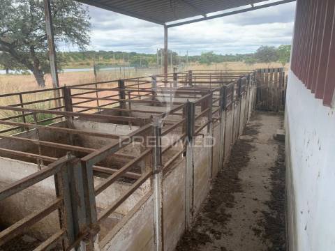 Herdade alentejana 53 hect (vedada)