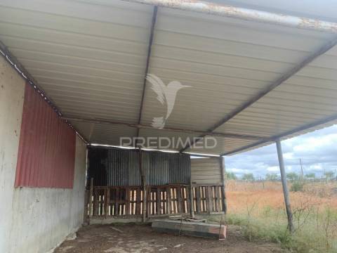 Herdade alentejana 53 hect (vedada)