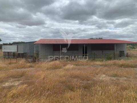 Herdade alentejana 53 hect (vedada)