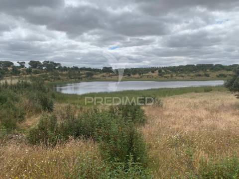 Herdade alentejana 53 hect (vedada)