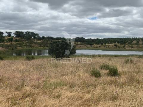 Herdade alentejana 53 hect (vedada)