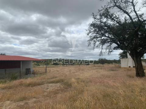 Herdade alentejana 53 hect (vedada)