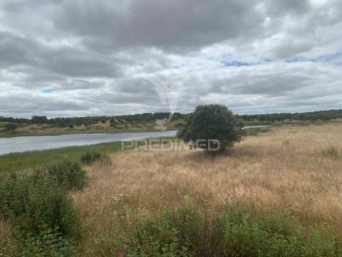 Herdade alentejana 53 hect (vedada)