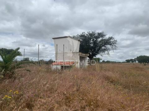 Herdade alentejana 53 hect (vedada)