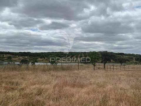 Herdade alentejana 53 hect (vedada)
