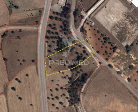 Terreno rústico - vila moreira, alcanena