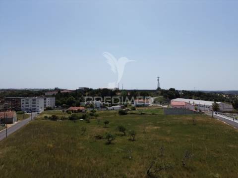 Terreno rústico - vila moreira, alcanena