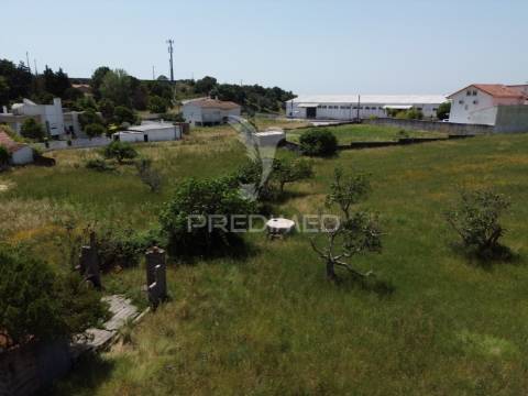 Terreno rústico - vila moreira, alcanena