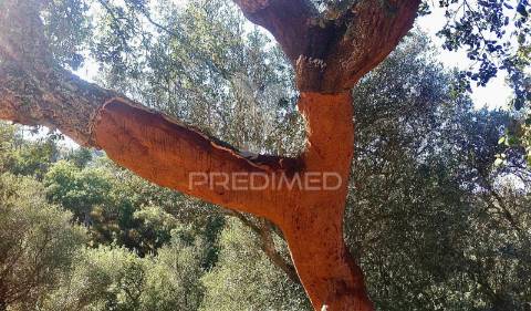 Herdade confinante com rio mira, em odemira