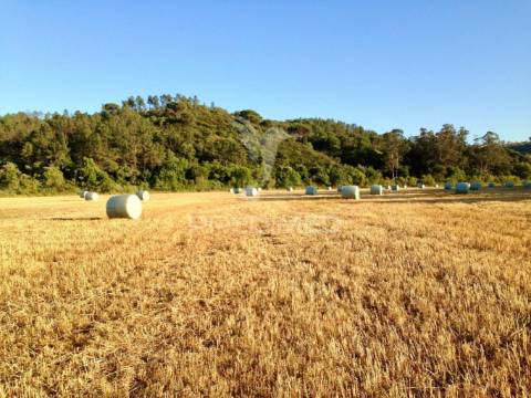 Herdade confinante com rio mira, em odemira