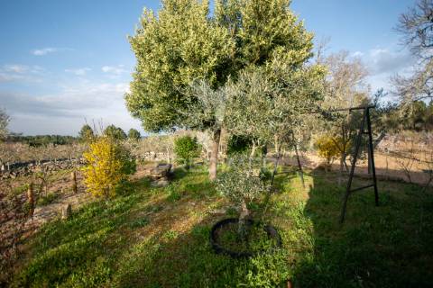 Quintinha junto à barragem da teja