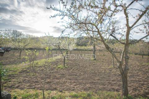 Quintinha junto à barragem da teja