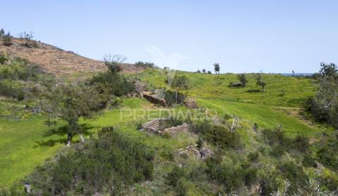 Quinta com ruína em corte malhão, são martinho das amoreiras