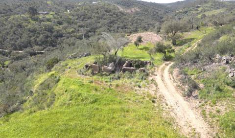 Quinta com ruína em corte malhão, são martinho das amoreiras
