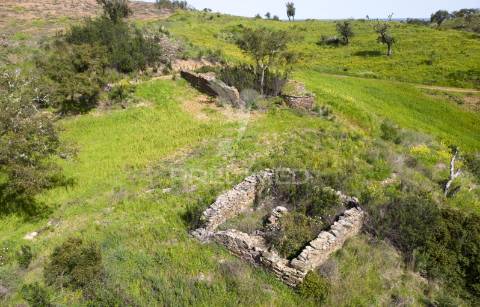 Quinta com ruína em corte malhão, são martinho das amoreiras