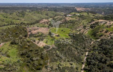 Quinta com ruína em corte malhão, são martinho das amoreiras