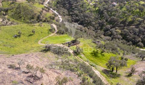 Quinta com ruína em corte malhão, são martinho das amoreiras