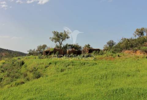 Quinta com ruína em corte malhão, são martinho das amoreiras