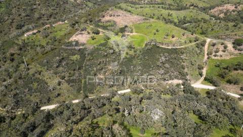 Quinta com ruína em corte malhão, são martinho das amoreiras