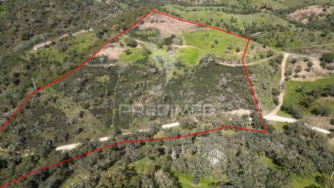 Quinta com ruína em corte malhão, são martinho das amoreiras