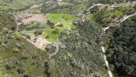 Quinta com ruína em corte malhão, são martinho das amoreiras