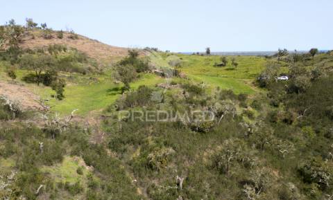 Quinta com ruína em corte malhão, são martinho das amoreiras