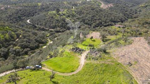 Quinta com ruína em corte malhão, são martinho das amoreiras