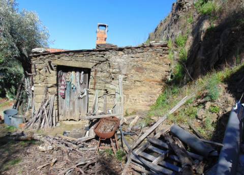 Propriedade c/ vinha e olival em abaças / vila real