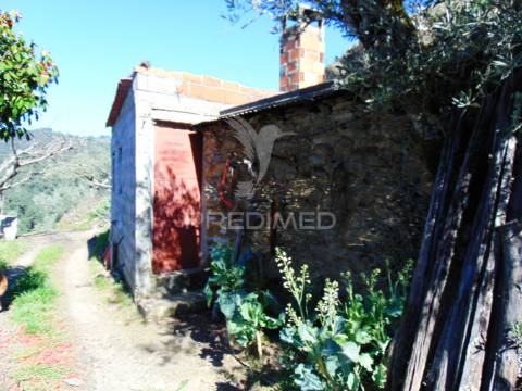 Propriedade c/ vinha e olival em abaças / vila real