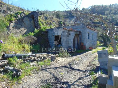 Propriedade c/ vinha e olival em abaças / vila real