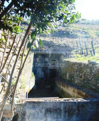 Propriedade c/ vinha e olival em abaças / vila real