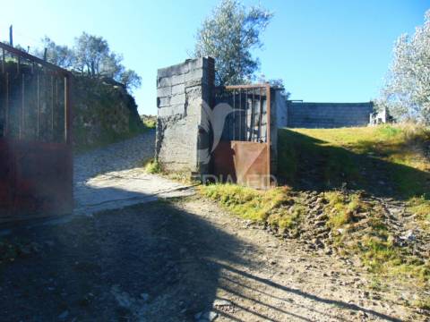 Propriedade c/ vinha e olival em abaças / vila real