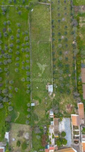 3 moradias com logradouro de 2750m2, em bencatel