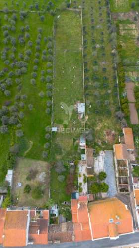 3 moradias com logradouro de 2750m2, em bencatel