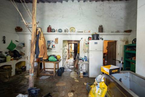 3 moradias com logradouro de 2750m2, em bencatel